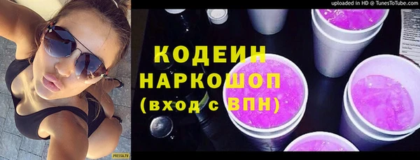 прущие грибы Вязьма