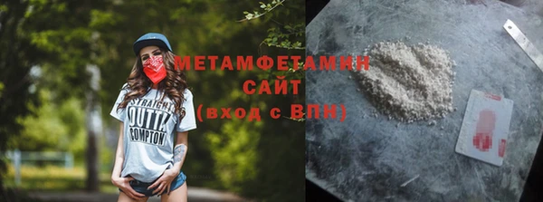 прущие грибы Вязьма