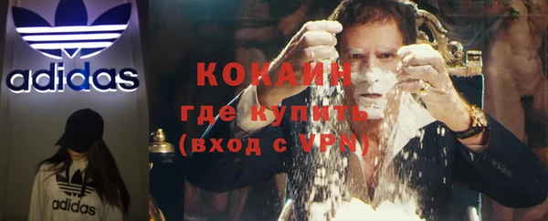 прущие грибы Вяземский