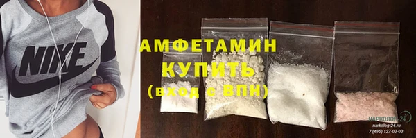 прущие грибы Вяземский