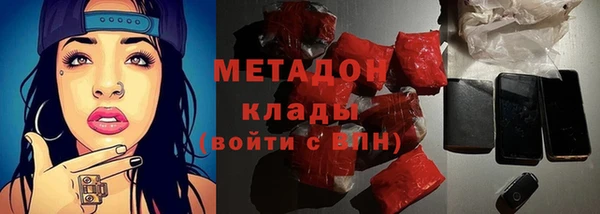прущие грибы Вязьма