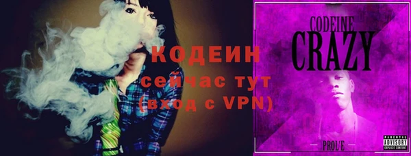 прущие грибы Вязьма