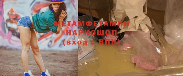 прущие грибы Вязьма