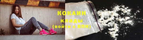 прущие грибы Вязьма