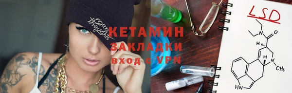 прущие грибы Вяземский