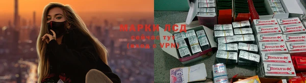 прущие крисы Вязники