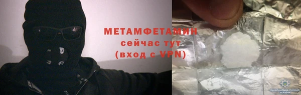 прущие грибы Вязьма