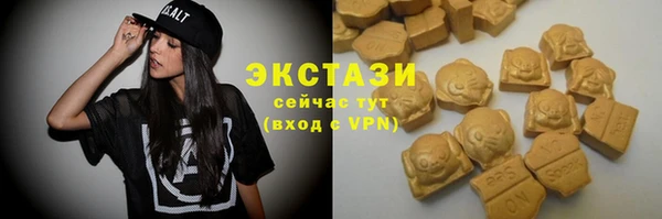 прущие грибы Вяземский