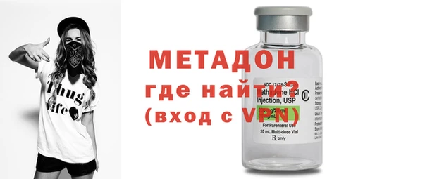 прущие грибы Вяземский