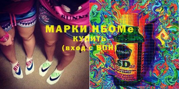 прущие грибы Вяземский
