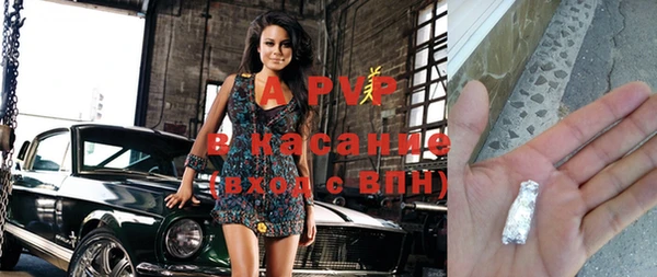 прущие грибы Вяземский