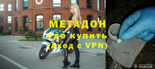 прущие грибы Вязьма