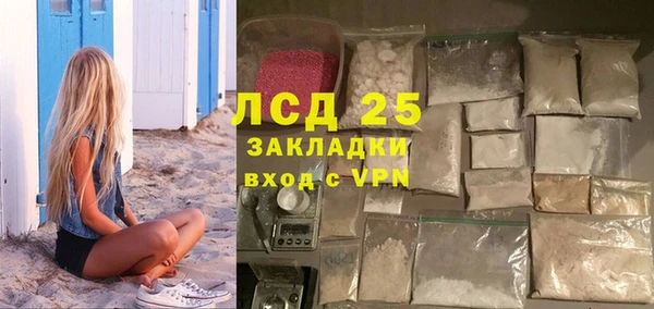 прущие грибы Вяземский