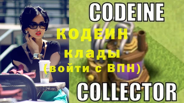 прущие грибы Вяземский
