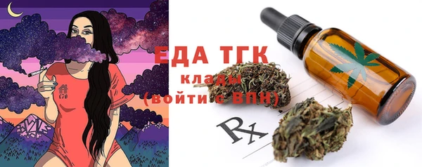 прущие грибы Вязьма